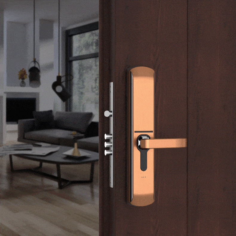 How to Choose Suitable Fingerprint Door Locks for Home?  5