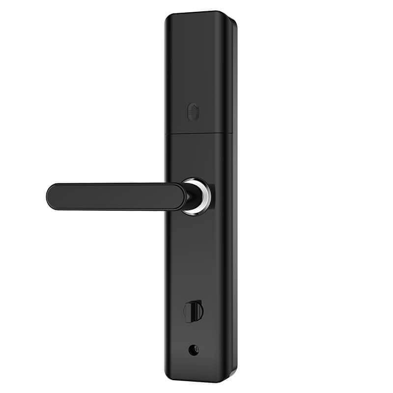 Cerradura de puerta inteligente con teclado Bluetooth de entrada sin llave para el hogar SL-BD19