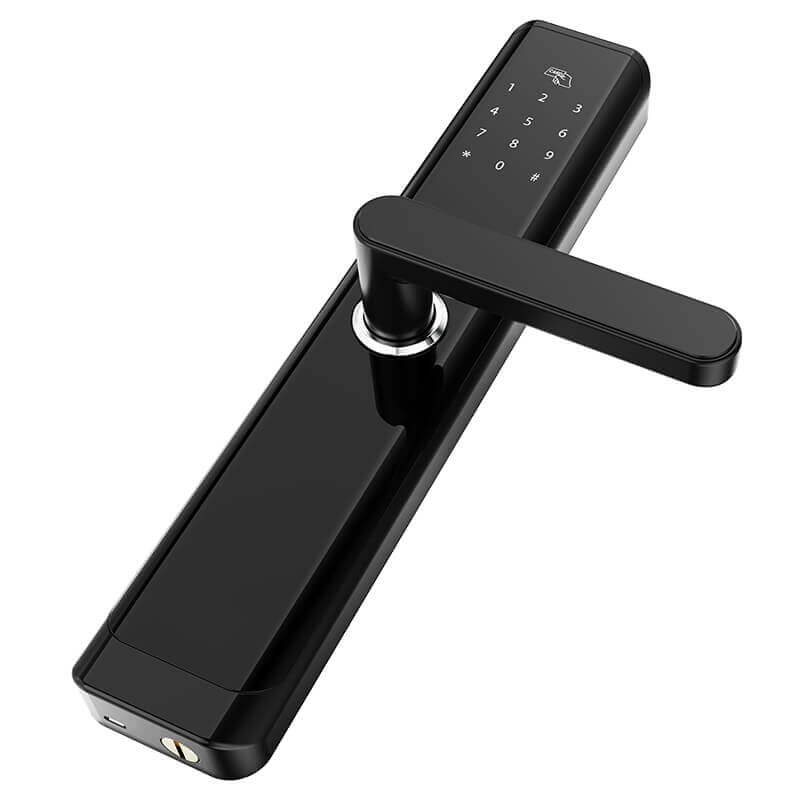 Cerradura de puerta inteligente con teclado Bluetooth de entrada sin llave para el hogar SL-BD19