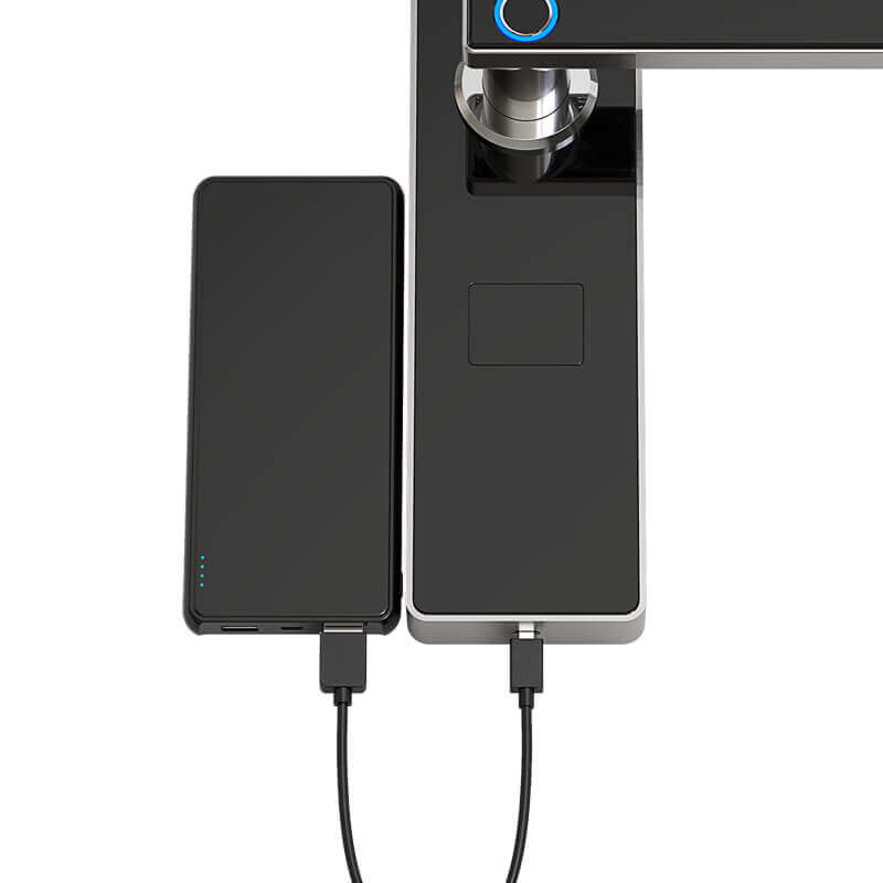 Serrure biométrique intelligente de porte d'applications de scanner d'empreintes digitales pour la maison SL-FD2