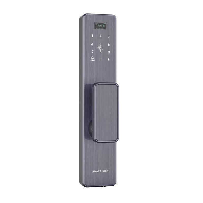 Serrure de porte biométrique à empreinte digitale sans clé pour porte de maison SL-FD9U