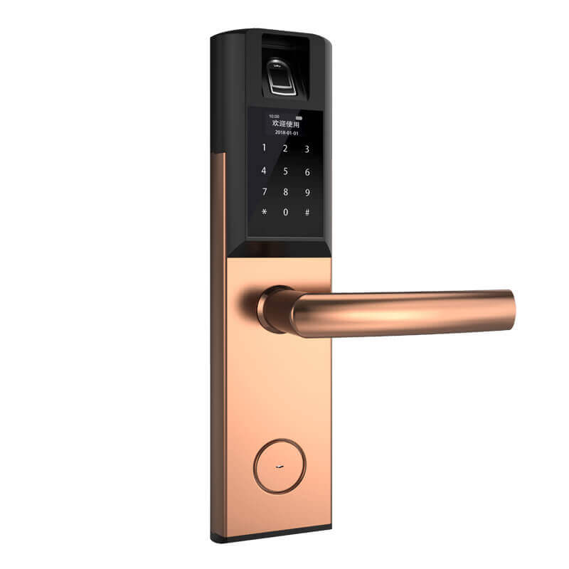 Serrure de porte biométrique tactile pour entreprise SL-F5188