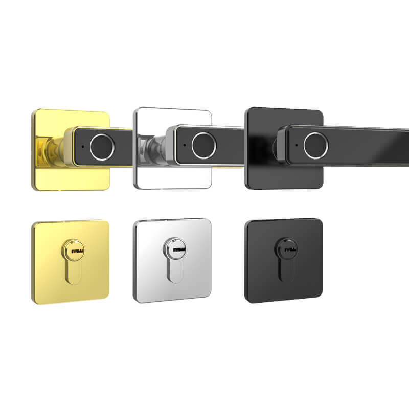 Βιομετρική λαβή πόρτας δακτυλικών αποτυπωμάτων Εισάγετε κλειδαριά για πόρτα Hourse SL-F2019