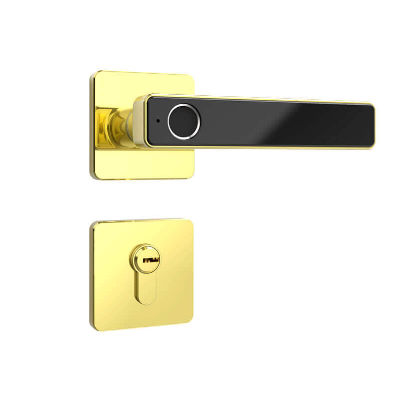 La poignée de porte biométrique d'empreinte digitale entrent dans la serrure pour la porte d'heure SL-F2019