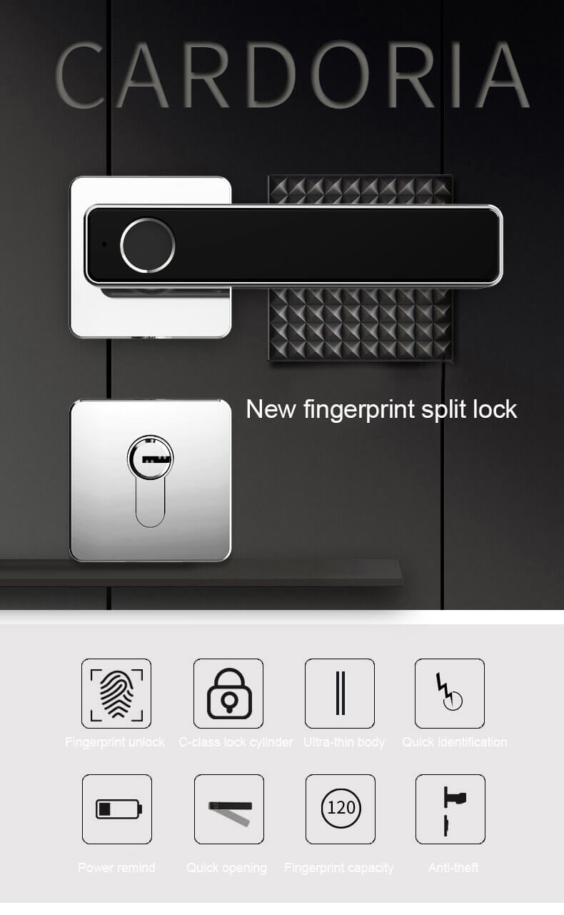 Biometrischer Daumenabdruck-Türgriff Eingabeschloss für Hourse Door SL-F2019