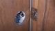 Door Latch Stuck in Locked Position A Simple Step-by-Step Guide